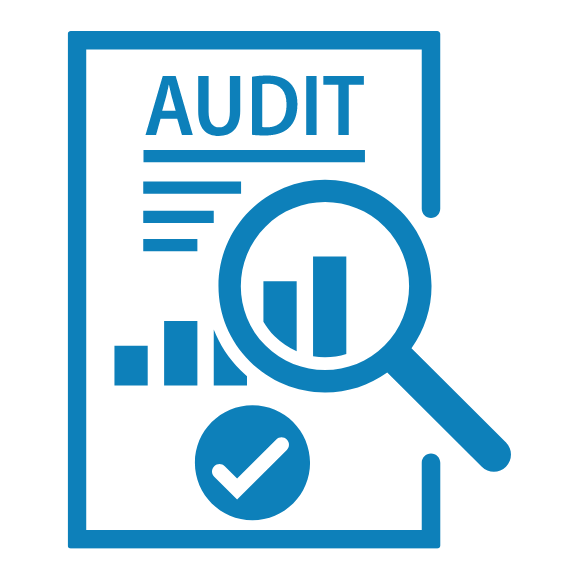 Accrual Management & Standard Compliance Audit